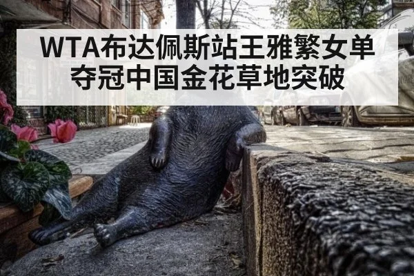 WTA布达佩斯站王雅繁女单夺冠中国金花草地突破
