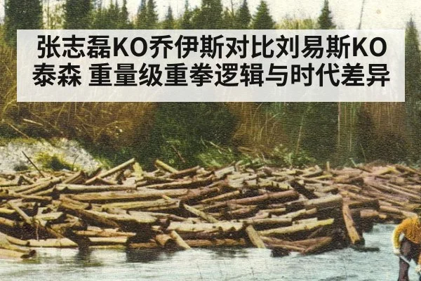 张志磊KO乔伊斯对比刘易斯KO泰森 重量级重拳逻辑与时代差异