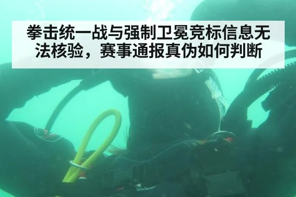 拳击统一战与强制卫冕竞标信息无法核验，赛事通报真伪如何判断